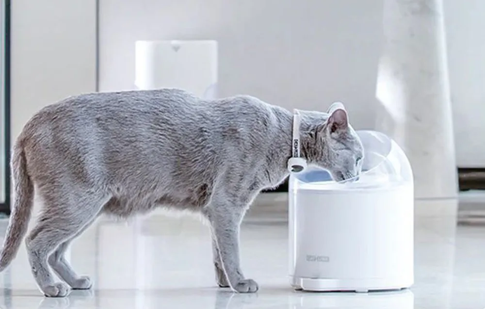 Catlink Pure filter – kaks ultrafiltratsiooni vahetusfiltrit Pure 2 seadmele